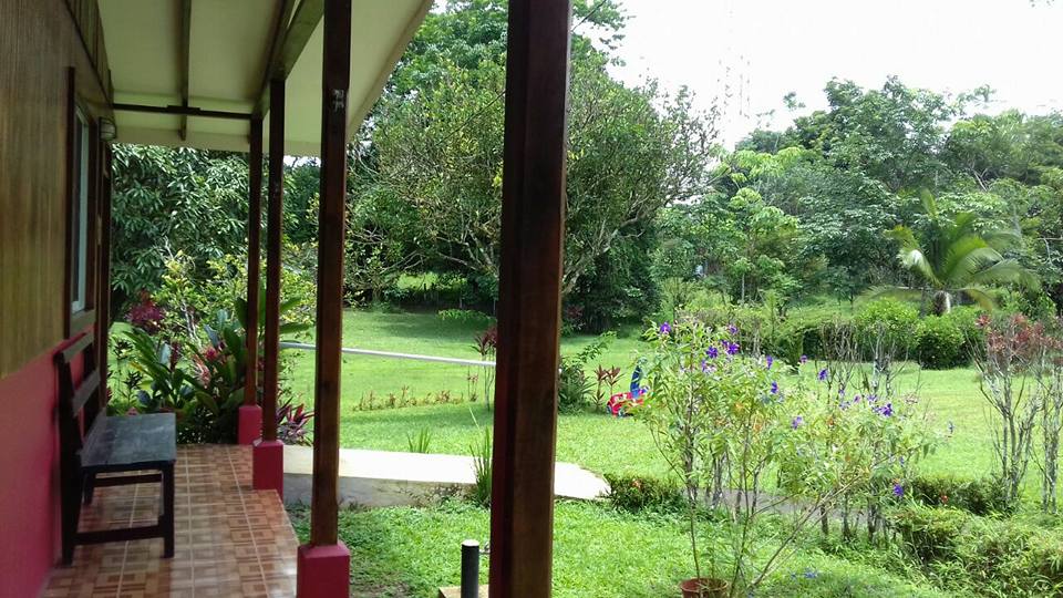 Lodge View